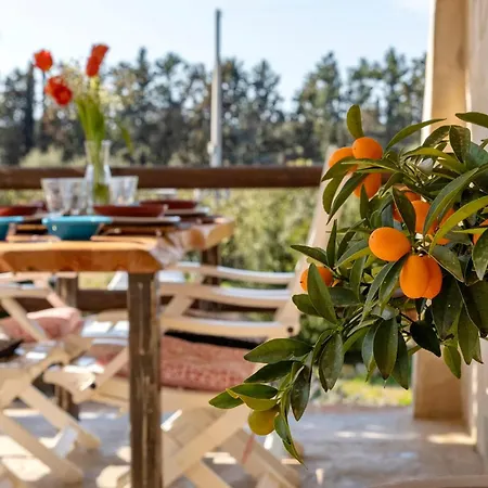 Maison Du Bonheur Exclusive Retreat For Peace Of Mind