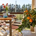 Maison Du Bonheur Exclusive Retreat For Peace Of Mind