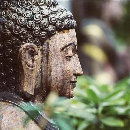 Maison Du Bonheur Exclusive Retreat For Peace Of Mind 빌라 *