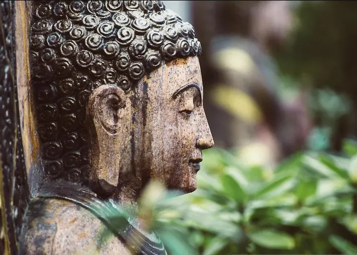 Maison Du Bonheur Exclusive Retreat For Peace Of Mind Villa *